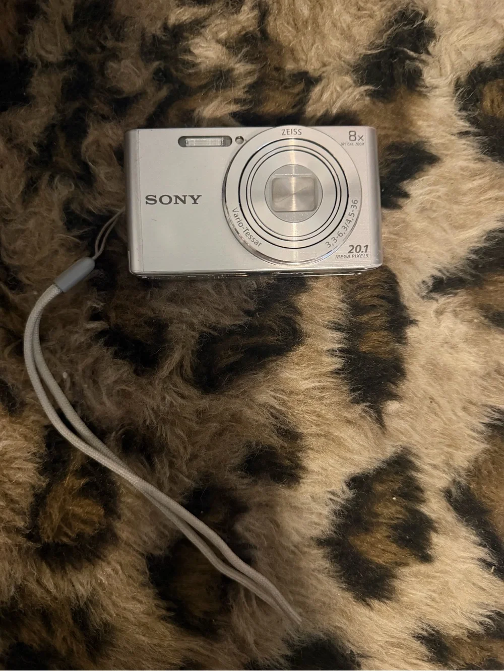 Sony Silver Compact Digital Camera - 20.1MP, 8x Optical Zoom
